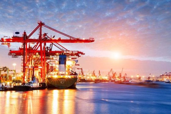 Importación Bangkok de la exportación del promotor de carga de mar a China
