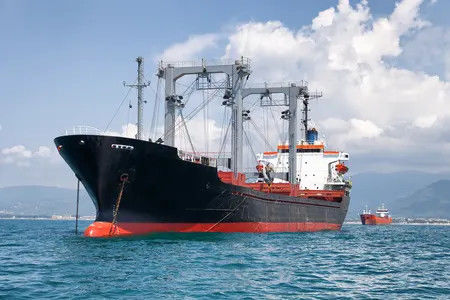 NVOCC que almacena y logística del transporte en el puerto de Shangai