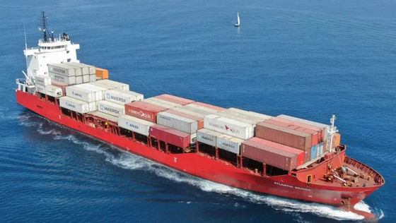 Promotor de carga del envío internacional del océano de China a África CIF
