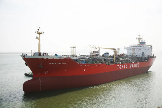 Envío internacional del mar del cargo de China del promotor de la importación global de la exportación