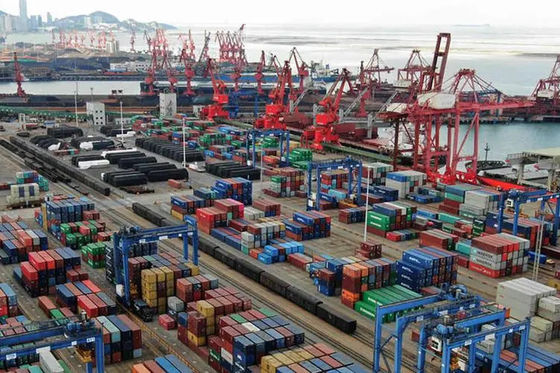 China a la importación internacional de la exportación del promotor de Rangoon por el envío del mar