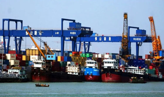 Carga logística global China de Shangai a Jordan Sea Freight Forwarder
