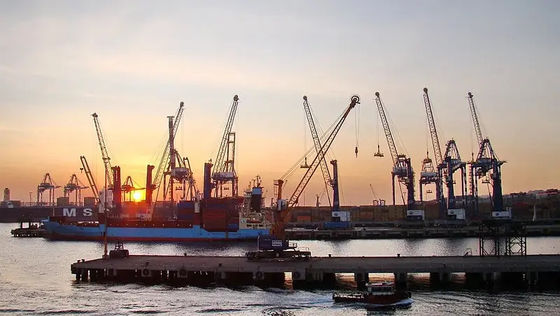 China al semanario internacional del envío de la carga de océano del promotor de carga de océano de la India