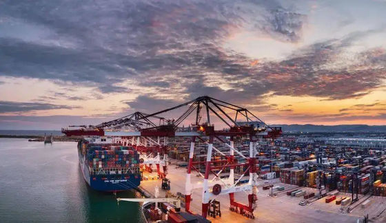 Promotor de carga internacional de océano del promotor de carga de mar de China a Vietnam