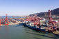 China a los servicios rápidos del envío del mar de Rusia LCL para la cadena de suministro