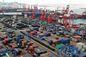 China a la importación internacional de la exportación del promotor de Rangoon por el envío del mar