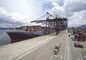 Carga de mar del promotor de carga de océano de NVOCC de China a Dubai