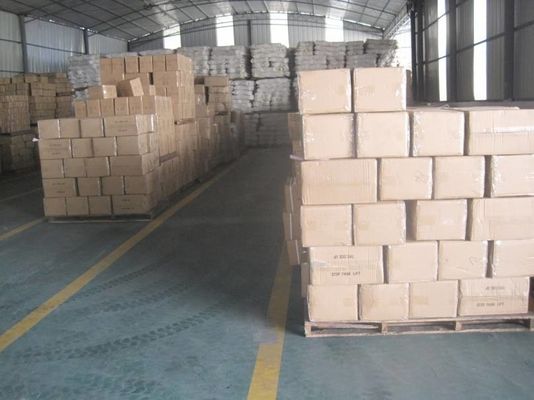 Logística del puerto de Shangai que almacena el transporte que almacena el MANDO/EXW/CIF