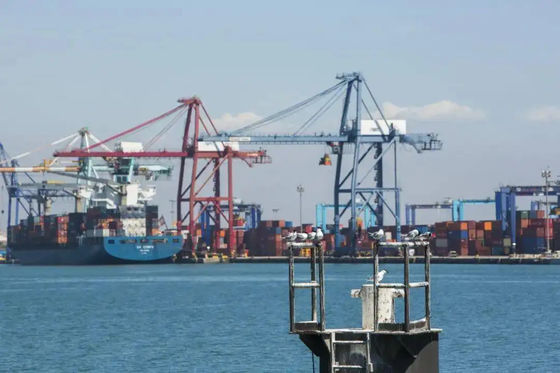 Shangai Ningbo Tianjin que almacena servicios de distribución almacena servicios del almacenamiento