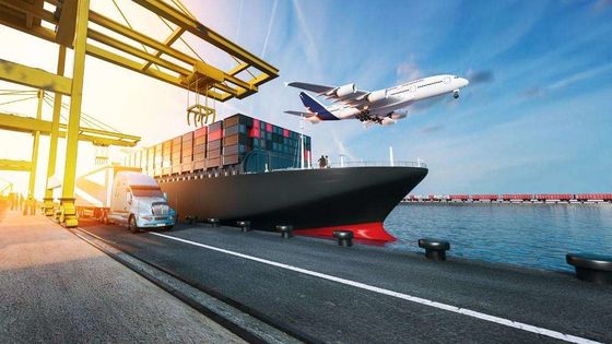 calidad Carga de océano internacional de los servicios FCL del cargo del mar China a Vietnam 20GP 40HQ fábrica