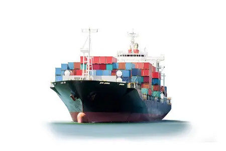 calidad China al promotor a domicilio 20GP 40GP de la India todo el día fábrica