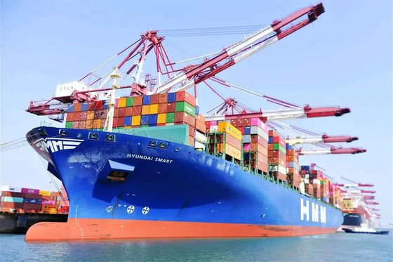 calidad Carga de océano rápida de LCL China al envío del mar de Phnom Penh LCL fábrica