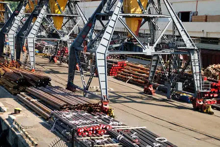 calidad Promotores de carga internacionales de océano de FCL China al Medio Oriente fábrica