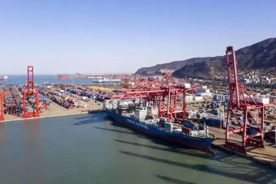 calidad China a los servicios rápidos del envío del mar de Rusia LCL para la cadena de suministro fábrica