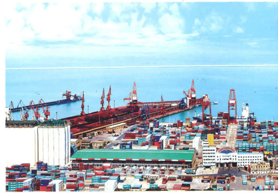 calidad Despacho de aduana internacional de China del promotor de carga del cargo de DG fábrica
