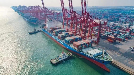 calidad Promotor de carga del envío internacional de 40 HQ China al Medio Oriente fábrica
